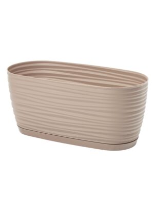 Sahara Petit box with saucer