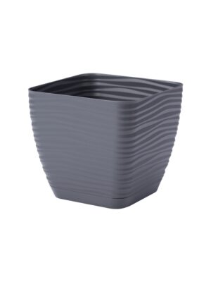 Sahara Petit square with saucer