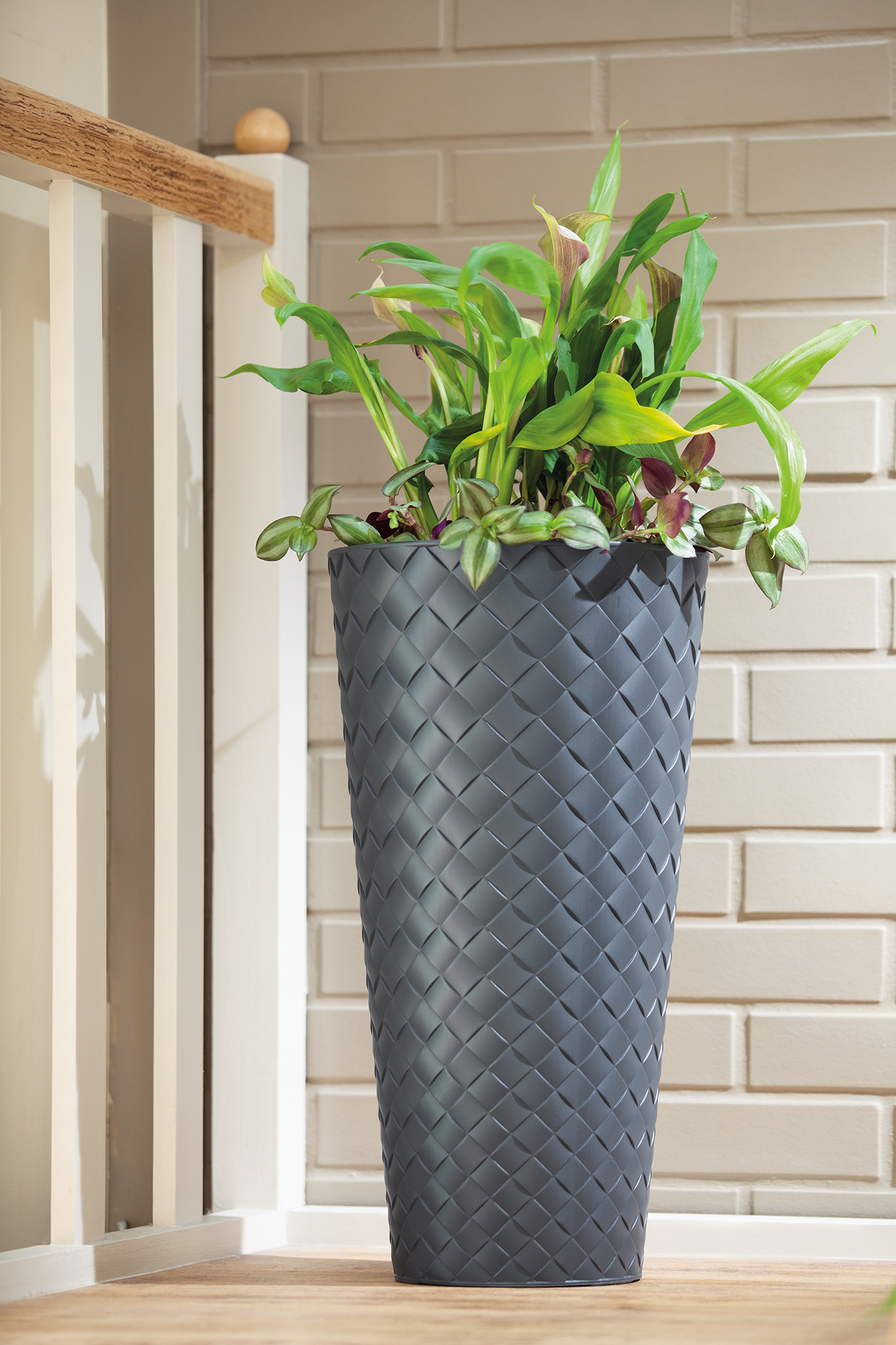 Makata Slim - Image 3